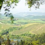 IC Lifestyle Images Releases The New Tuscan Charm Collection of Photography Prints