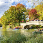Inspired By The Season - Fun Ways To Enjoy The Best Things About Fall