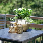 Summer Gardening Guide: How To Quickly & Easily Update Your Patio