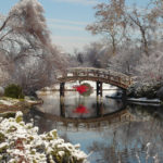 Winter Vacations to Celebrate Magical Moments Around The World